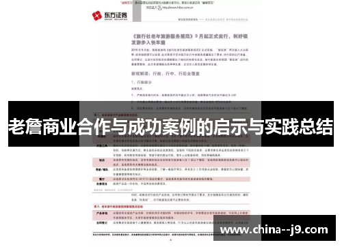 老詹商业合作与成功案例的启示与实践总结