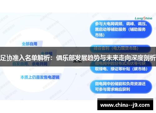 足协准入名单解析：俱乐部发展趋势与未来走向深度剖析