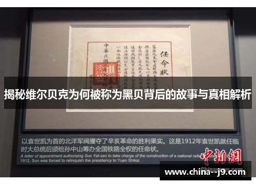 揭秘维尔贝克为何被称为黑贝背后的故事与真相解析 揭秘维尔贝克为何被称为黑贝背后的故事与真相解析