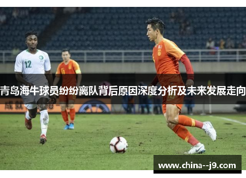 青岛海牛球员纷纷离队背后原因深度分析及未来发展走向