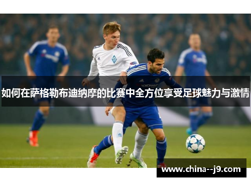 如何在萨格勒布迪纳摩的比赛中全方位享受足球魅力与激情