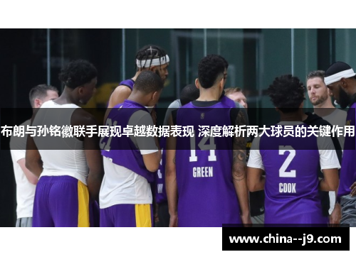布朗与孙铭徽联手展现卓越数据表现 深度解析两大球员的关键作用