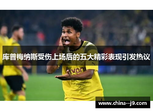 库普梅纳斯受伤上场后的五大精彩表现引发热议