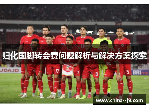 归化国脚转会费问题解析与解决方案探索