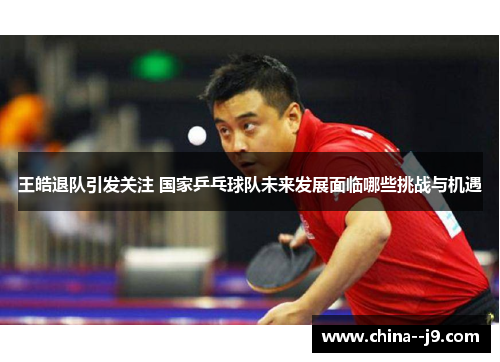 王皓退队引发关注 国家乒乓球队未来发展面临哪些挑战与机遇 王皓退队引发关注 国家乒乓球队未来发展面临哪些挑战与机遇