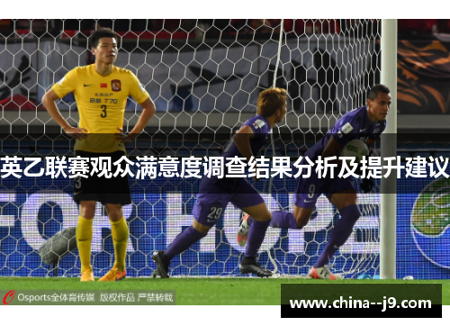 英乙联赛观众满意度调查结果分析及提升建议