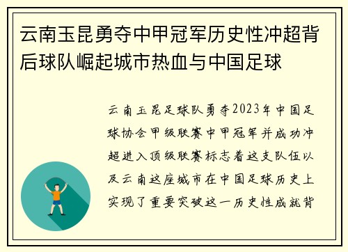 云南玉昆勇夺中甲冠军历史性冲超背后球队崛起城市热血与中国足球