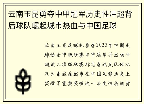 云南玉昆勇夺中甲冠军历史性冲超背后球队崛起城市热血与中国足球